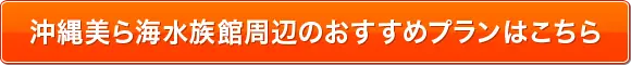 沖縄美ら海水族館周辺のおすすめプランはこちら