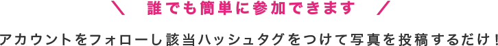 キャンペーン応募方法2