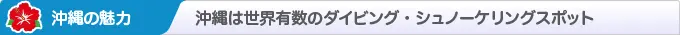 沖縄の魅力 沖縄は世界有数のダイビング・シュノーケリングスポット