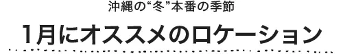 1月にオススメのロケーション