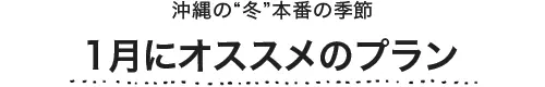 1月にオススメのプラン