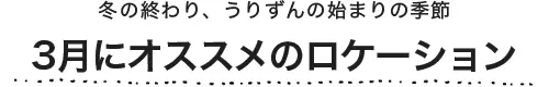 3月にオススメのプラン
