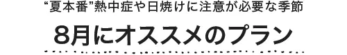 8月にオススメのプラン