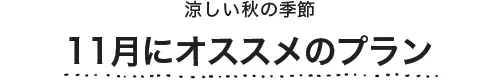11月にオススメのプラン