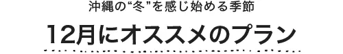 12月にオススメのプラン