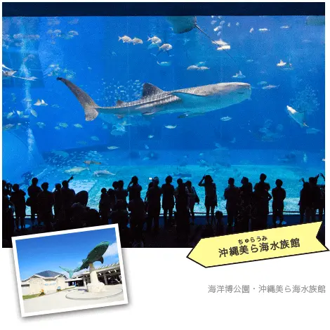沖縄美ら海水族館