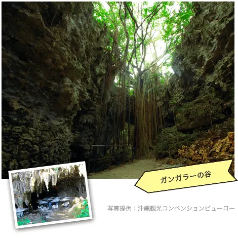 ガンガラーの谷