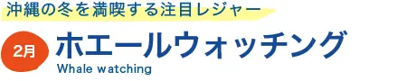 ホエールウォッチング