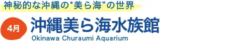 沖縄美ら海水族館