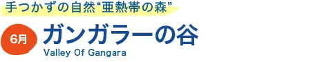 ガンガラーの谷