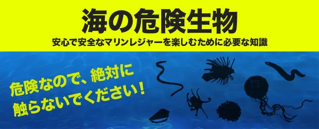 海の危険生物