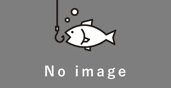 タマン（ハマフエフキ）