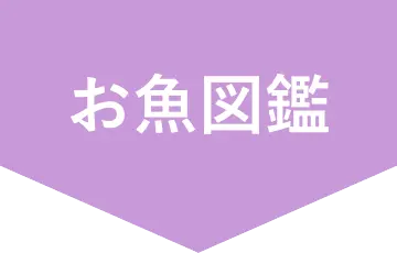 お魚図鑑