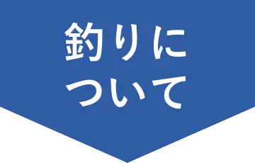釣りについて