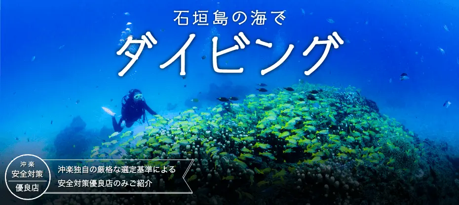 石垣島の海でダイビング