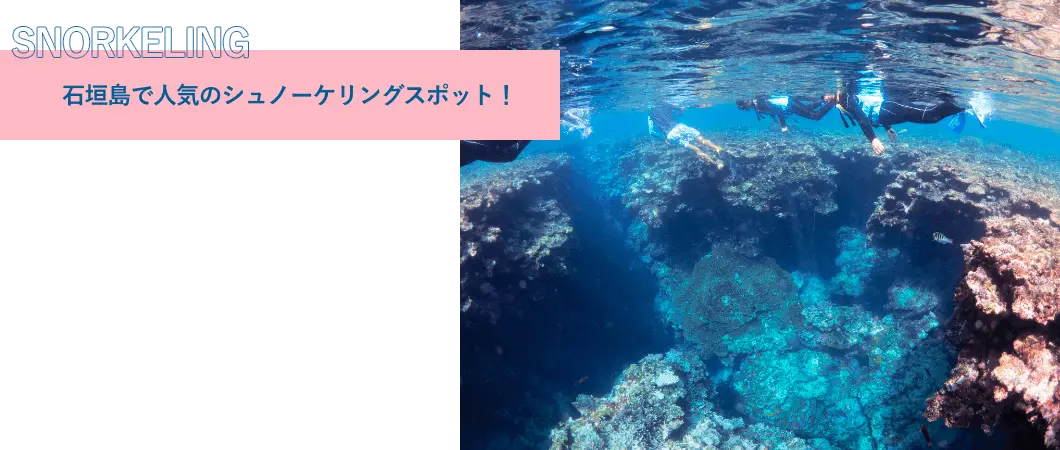 石垣しまで人気のシュノーケリングポット！