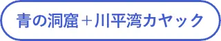 青の洞窟＋川平湾カヤック