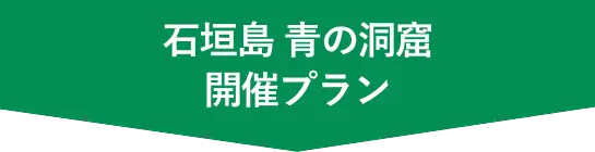 石垣島青の洞窟開催プラン