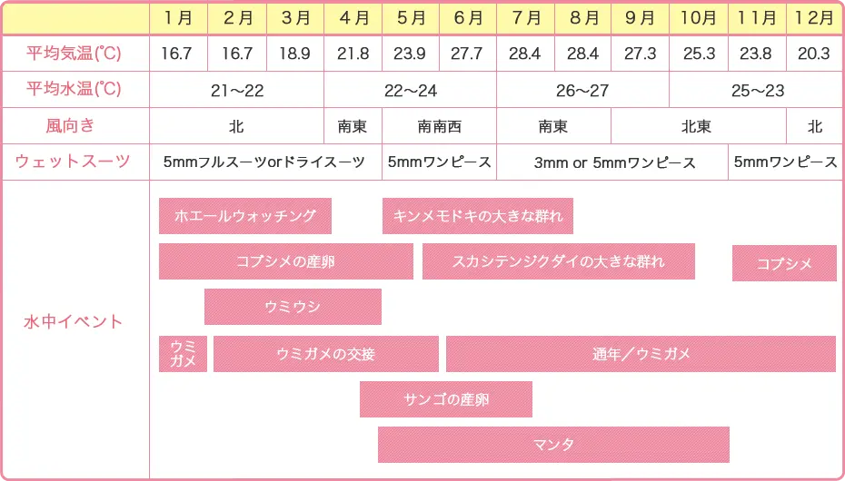 シーズンカレンダー