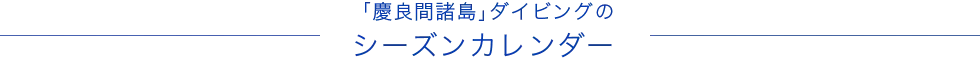 「慶良間諸島」ダイビングのシーズンカレンダー