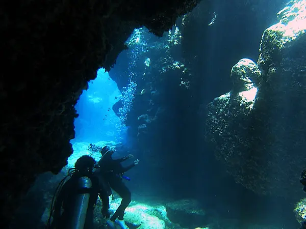 慶良間諸島ダイビングスポット「久場西（くばにし）」