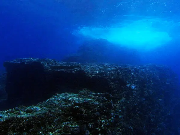 慶良間諸島ダイビングスポット「久場隠れ根（くばかくれね）」