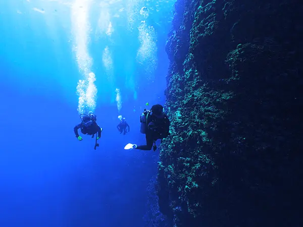 慶良間諸島ダイビングスポット「黒島ツインロック（くろしまついんろっく）」