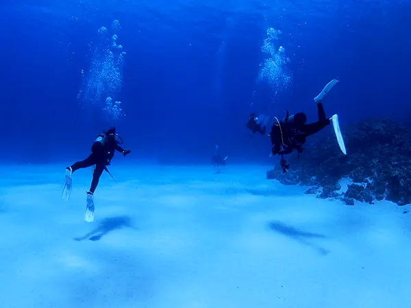 慶良間諸島ダイビングスポット「パライソ（ぱらいそ）」