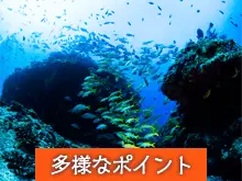 多様なポイント