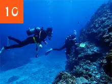 ダイビングスタイル