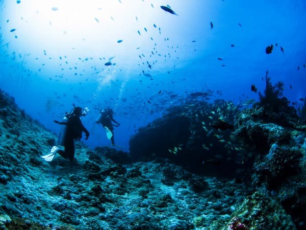 慶良間諸島ダイビングスポット「ウチザン礁（うちざんしょう）」