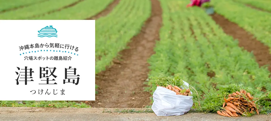 津堅島