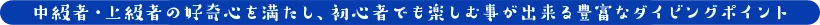 中級者・上級者の好奇心を満たし、初級者でも楽しむ事が出来る豊富なダイビングポイント
