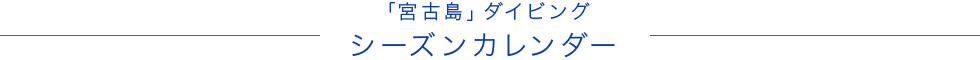 宮古島ダイビングシーズン