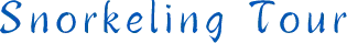 Snorkeling Tour
