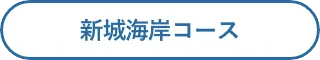 新城海岸コース