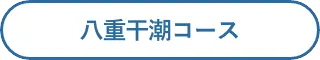 八重干潮コース