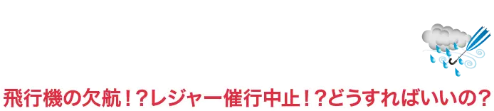 台風対策マニュアル