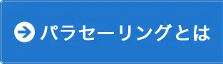 パラセーリングとは