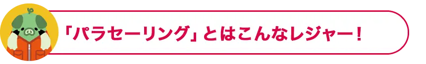 「パラセーリング」とはこんなレジャー！