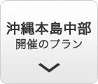 沖縄本島中部