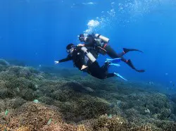 プロのインストラクター誘導の元で初心者の安全を第一