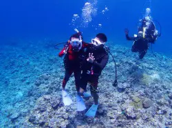 泳ぐことが出来なくても安心して参加できます