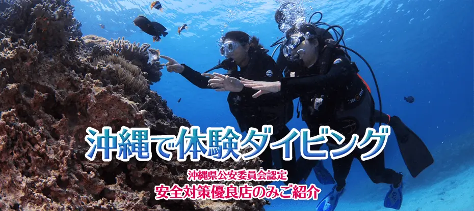 沖縄で体験ダイビング