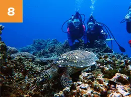 【水中観光ツアー】