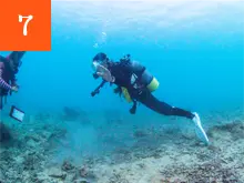 【午後】海洋実習１