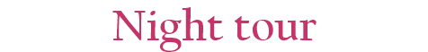 Night tour