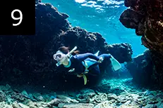 地形や生物を散策