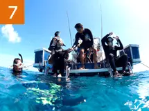 シュノーケリングタイム