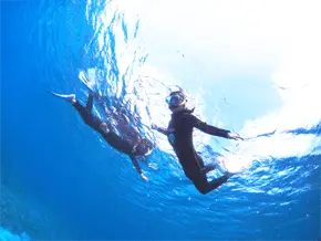 シュノーケリングの服装について【１２月～２月】